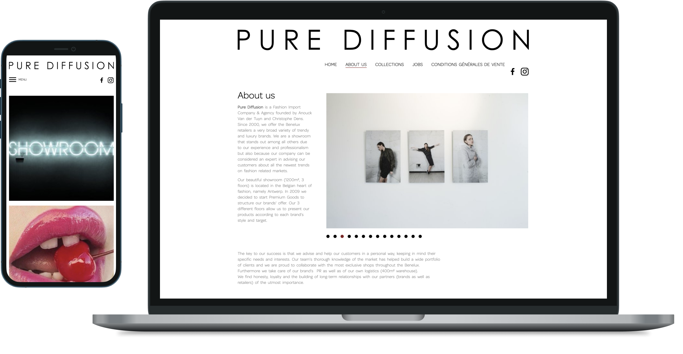 Pure Diffusion Responsieve website